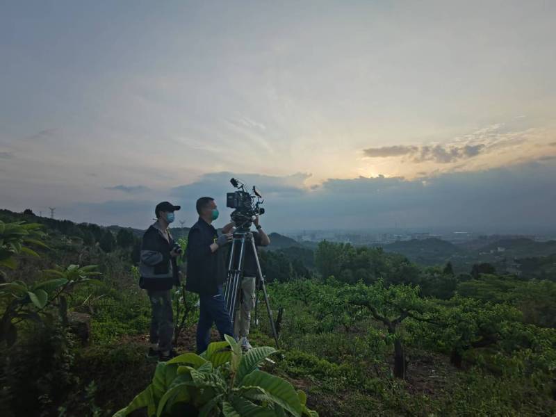 创意破圈！上杭县电商产品宣传视频用故事化叙事引爆流量
