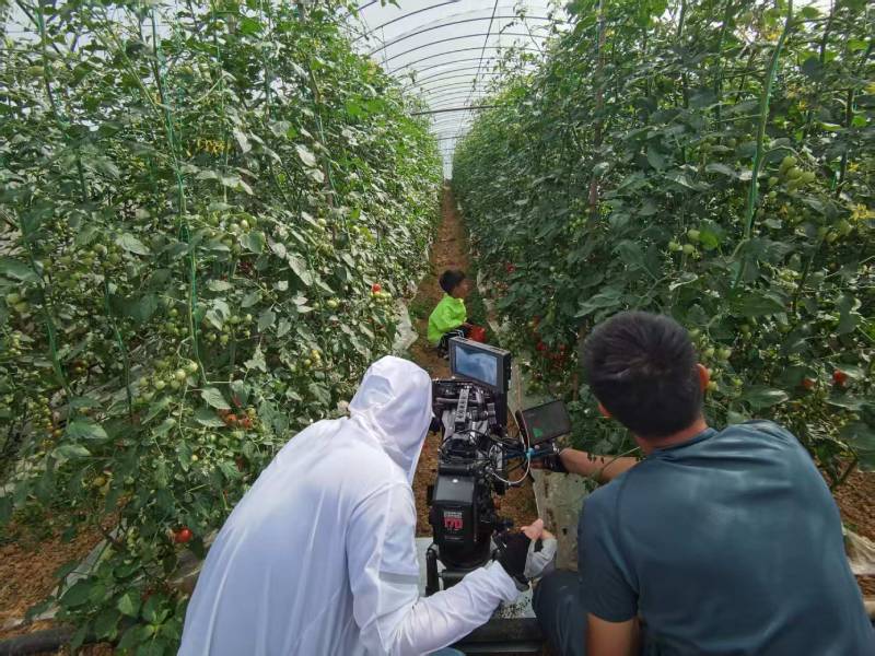 上杭县产品宣传视频拍摄公司进阶指南，助力品牌抢占传播高地